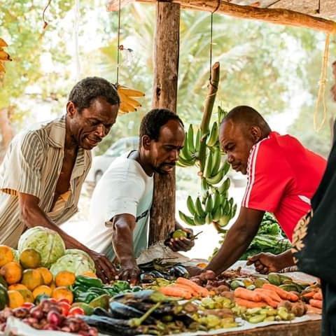 Mau'splace - Authentic Afrikan House Jambiani (Zanzibar)