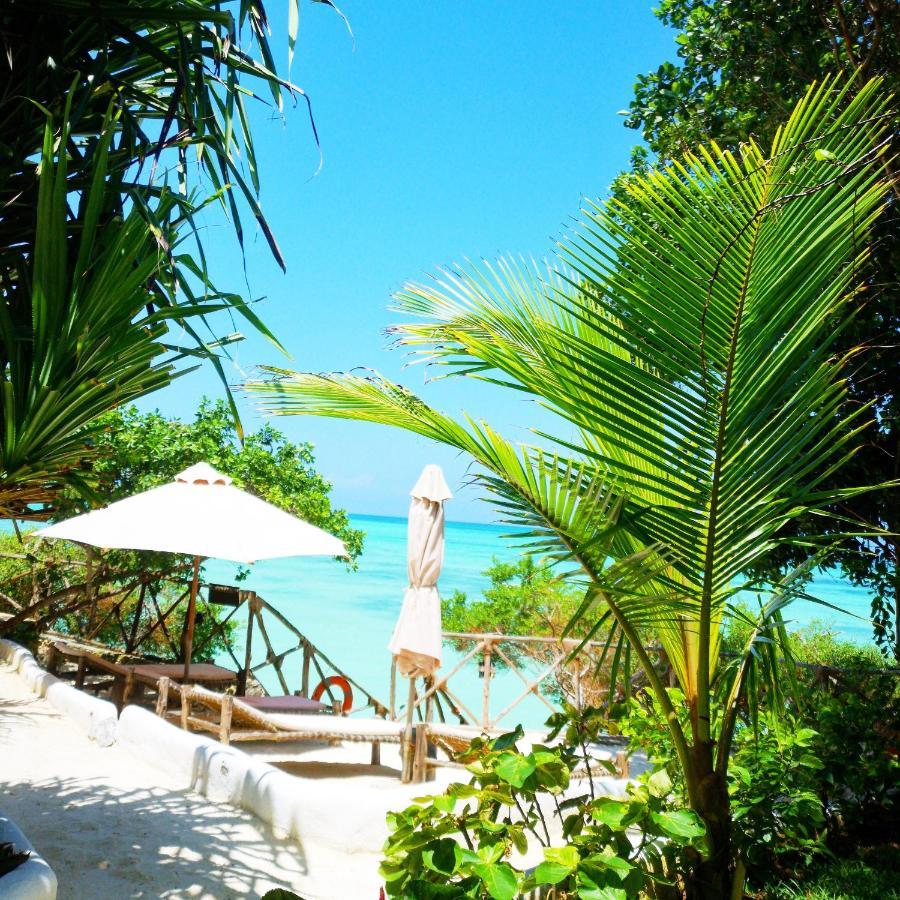 Hotel The Island - (adults Only) Pongwe