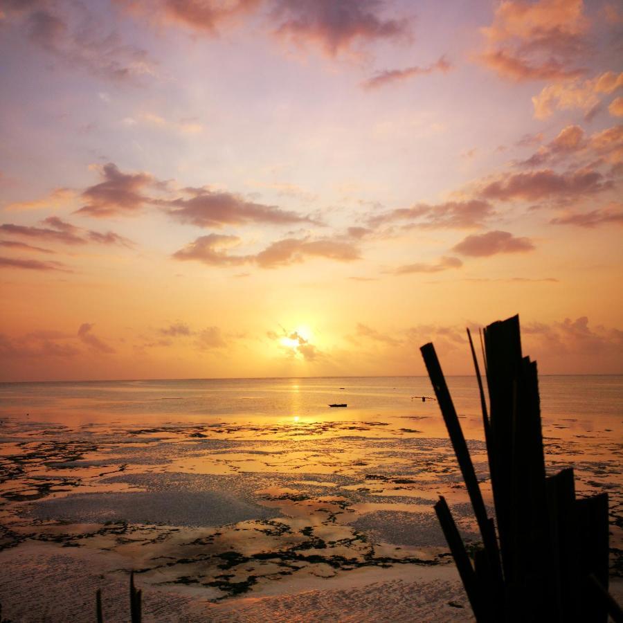 Hotel The Island - (adults Only) Pongwe