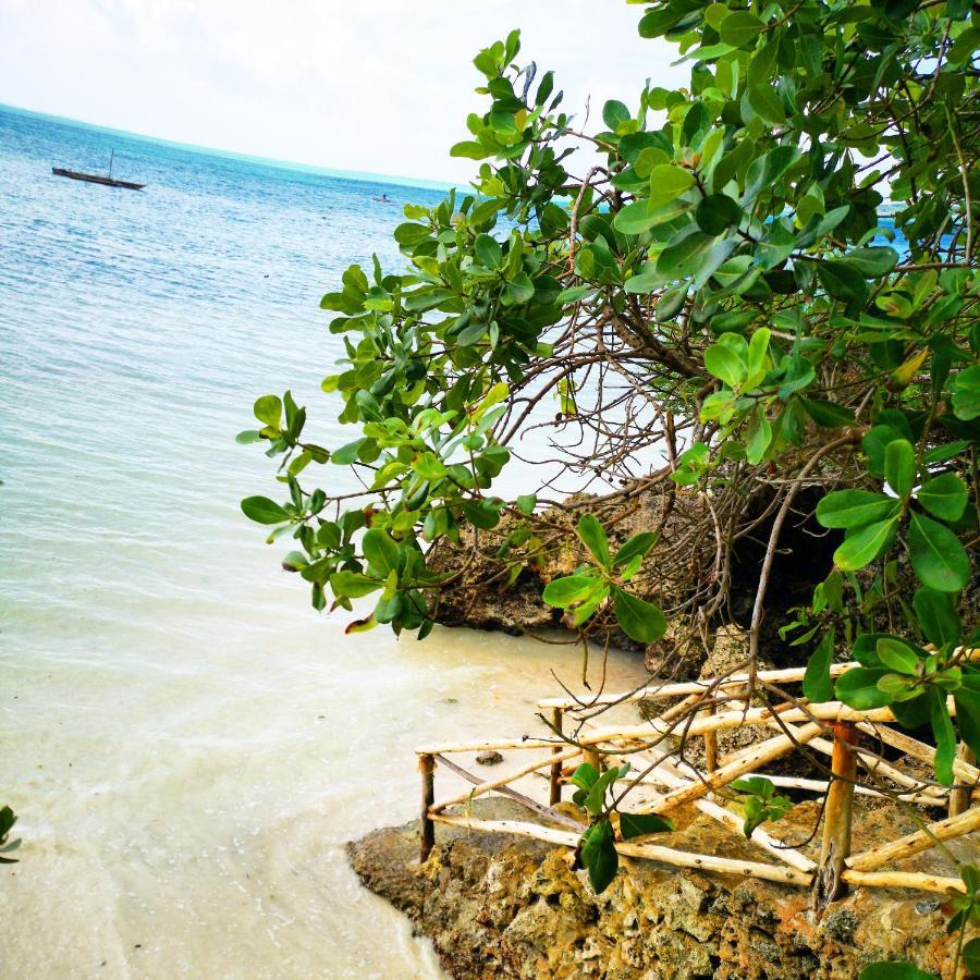 The Island - (adults Only) Hotel Pongwe