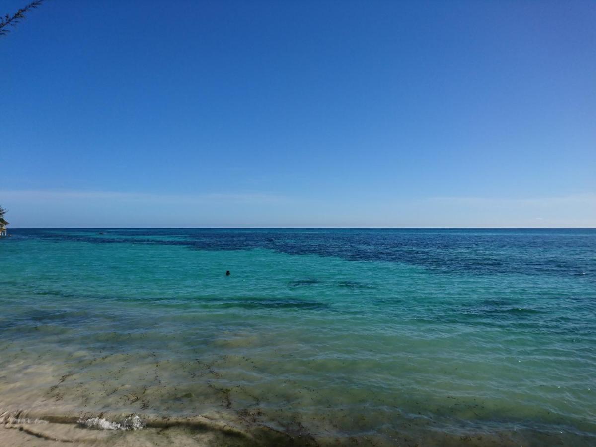 Coco Reef Hotel Kizimkazi