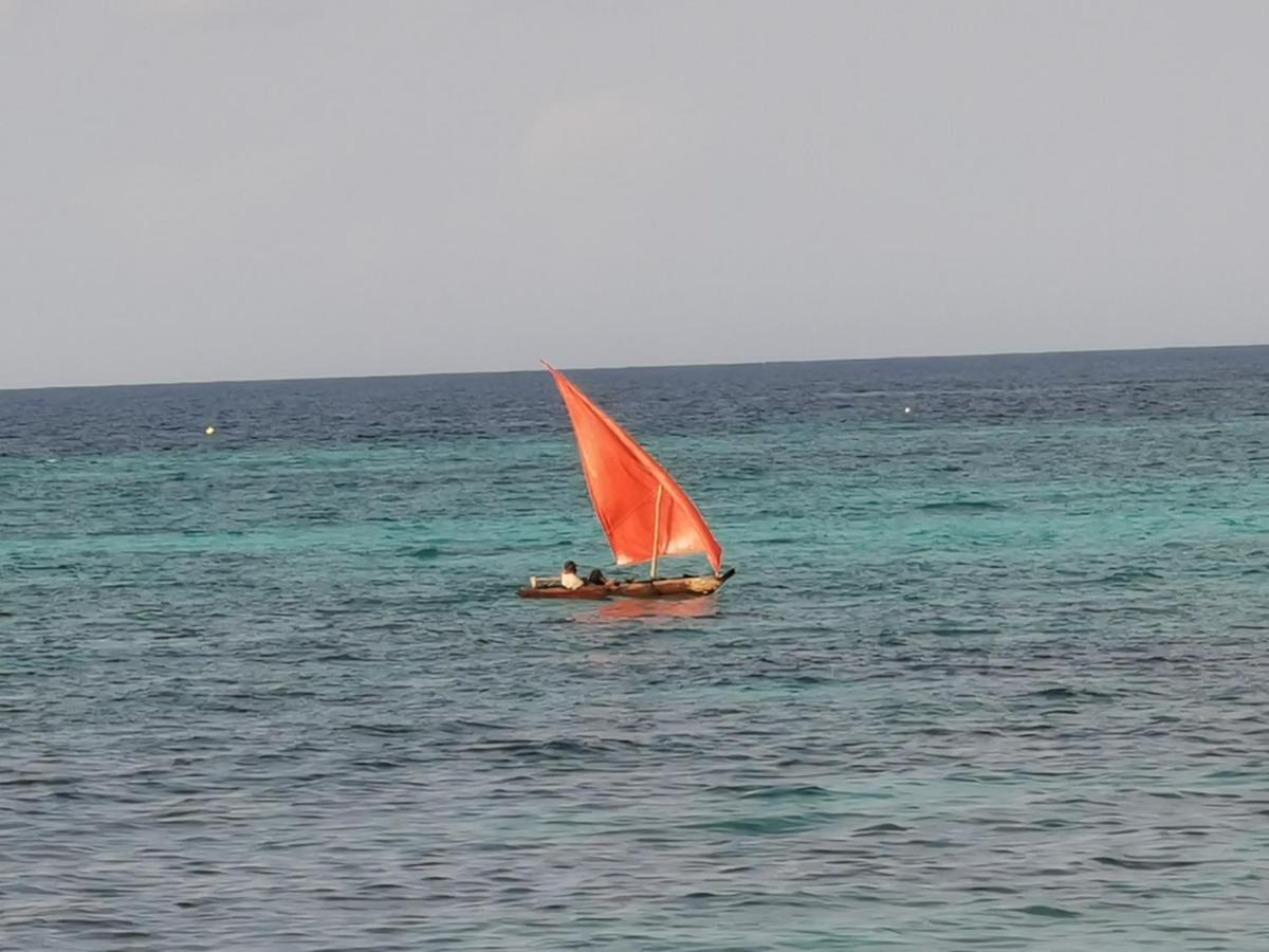 Coco Reef * Kizimkazi