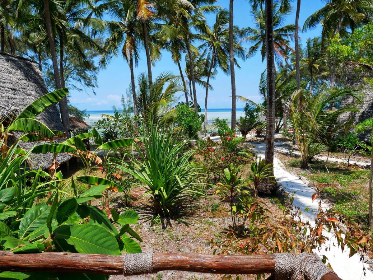 Coco Reef *