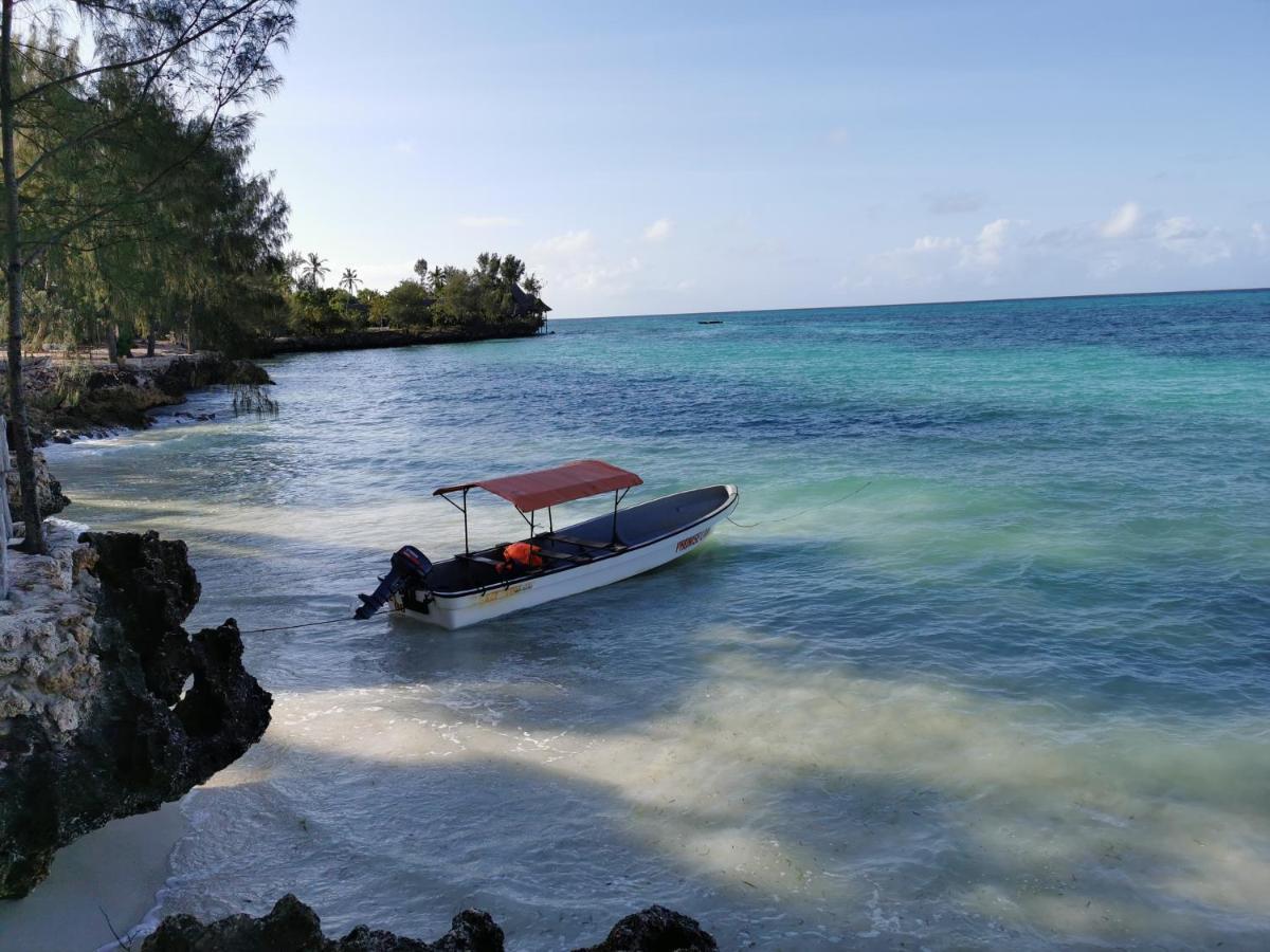 Coco Reef *