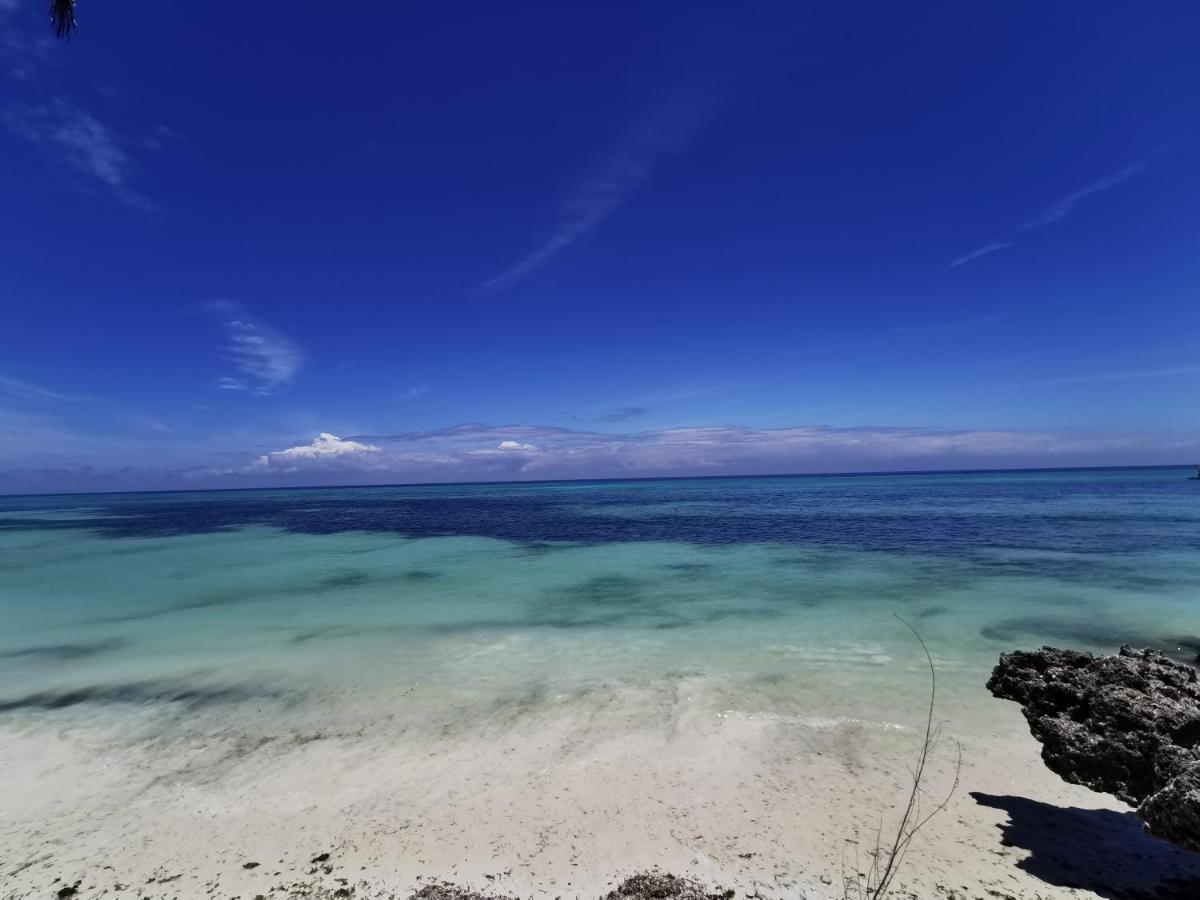 Hotel Coco Reef Kizimkazi