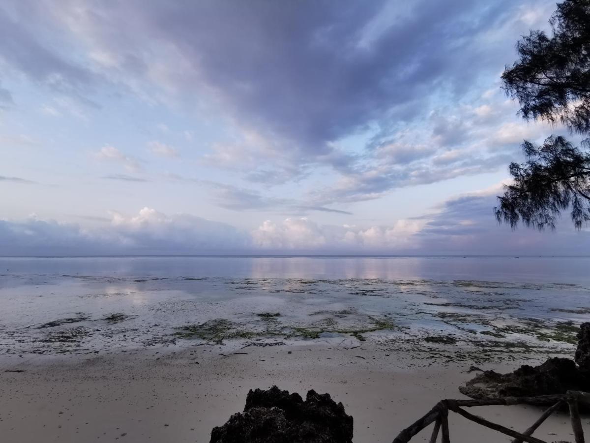 Hotel Coco Reef Kizimkazi