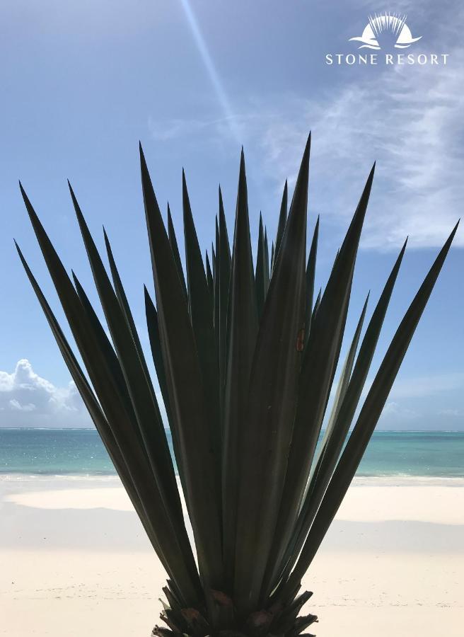 Stone Kiwengwa (Zanzibar)