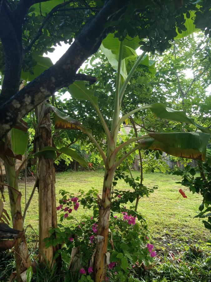 Sweet Bed & Breakfast Kiwengwa (Zanzibar)