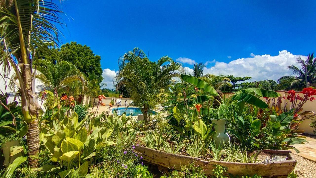 Golden Palm Boutique Hotel 3*
