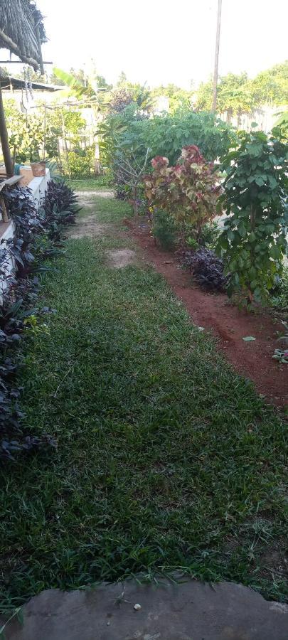 Bed & Breakfast Sweet Kiwengwa (Zanzibar)