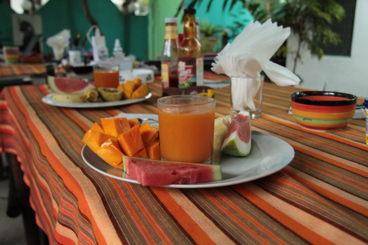 Guest house Homeland Swahili Backpacker Budget *