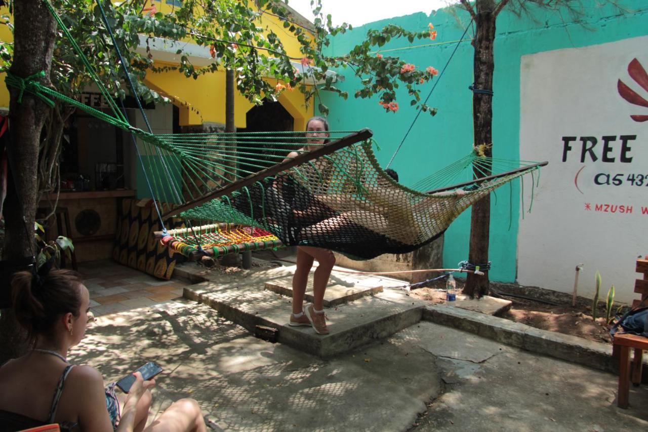 Guest house Homeland Swahili Backpacker Budget Nungwi