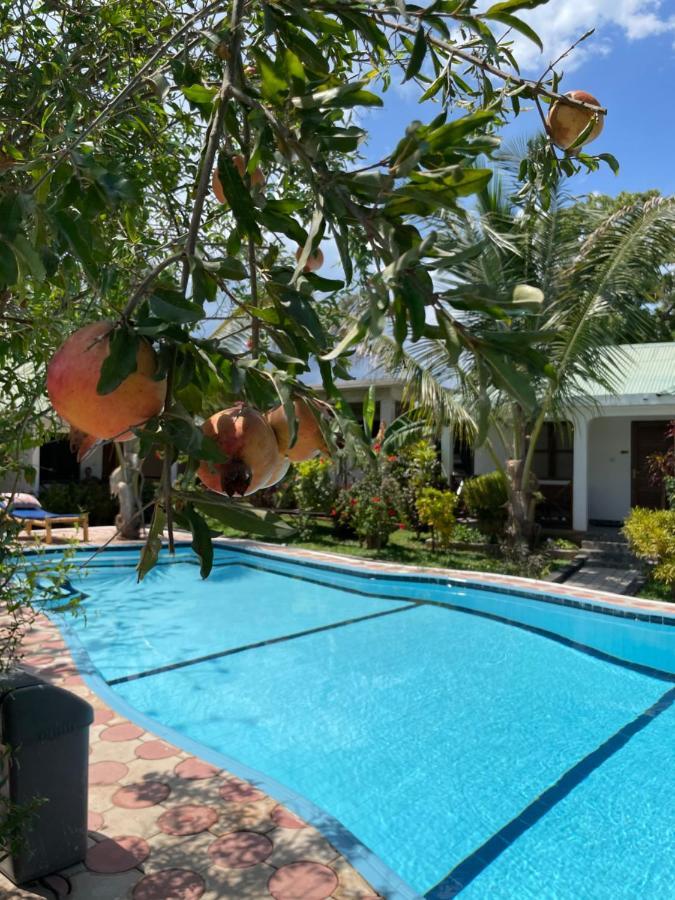 Highland Guest house 3*