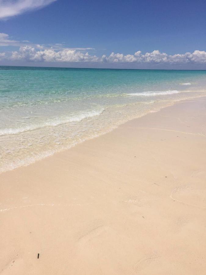 Thamani Zanzibar *