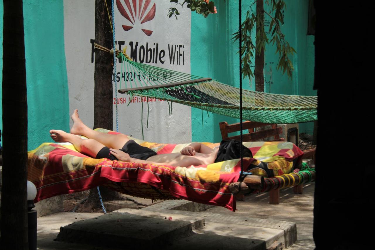 Homeland Swahili Backpacker Budget Guest house Nungwi