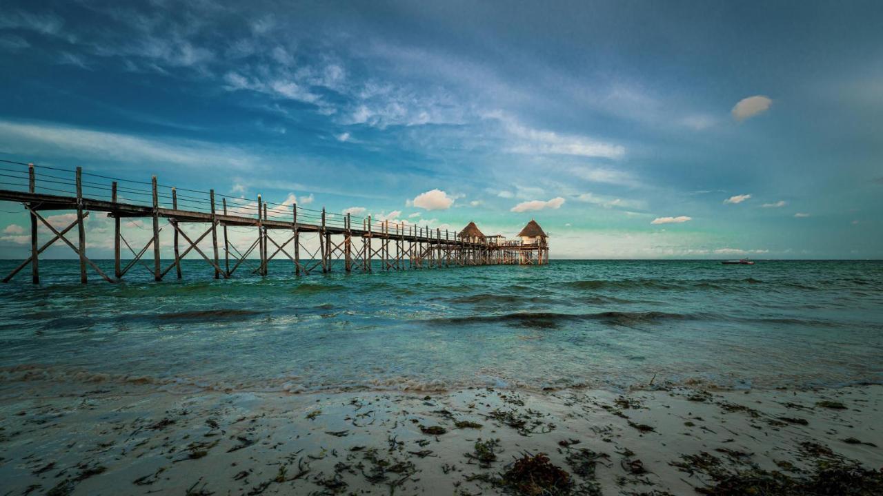Sharazad Oasis Retreat Jambiani (Zanzibar)