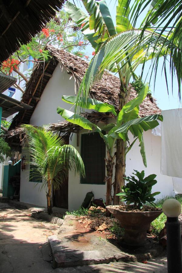Homeland Swahili Backpacker Budget Nungwi