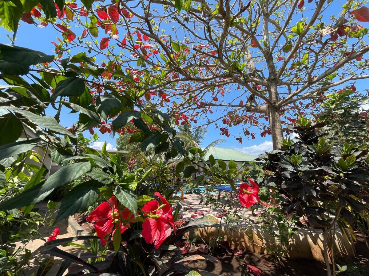 Highland Guest house Nungwi