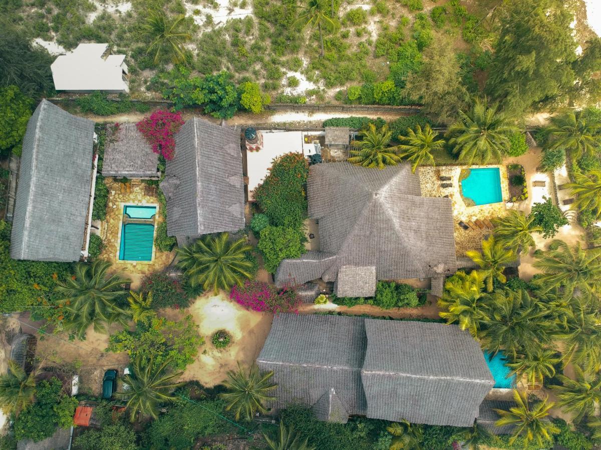 Tamani * Matemwe (Zanzibar)