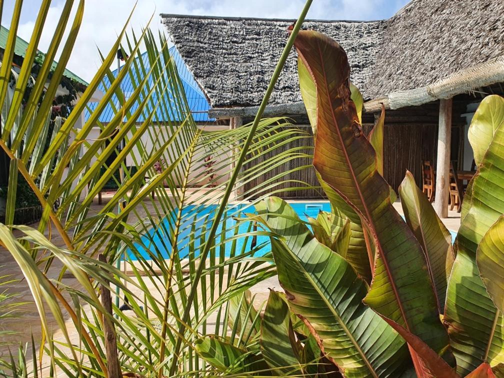 Bed & Breakfast Kumi Nungwi