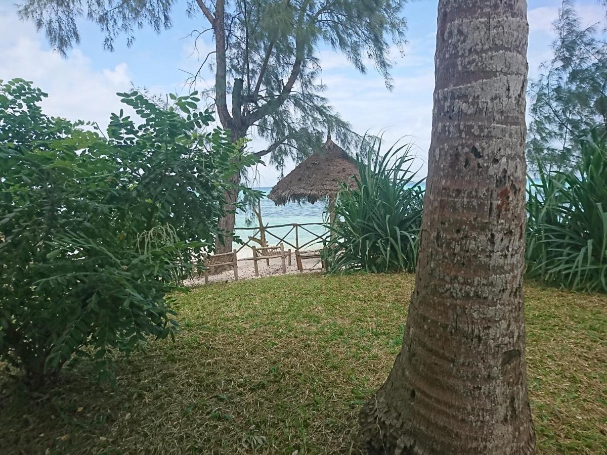 Coco Reef Hotel Kizimkazi