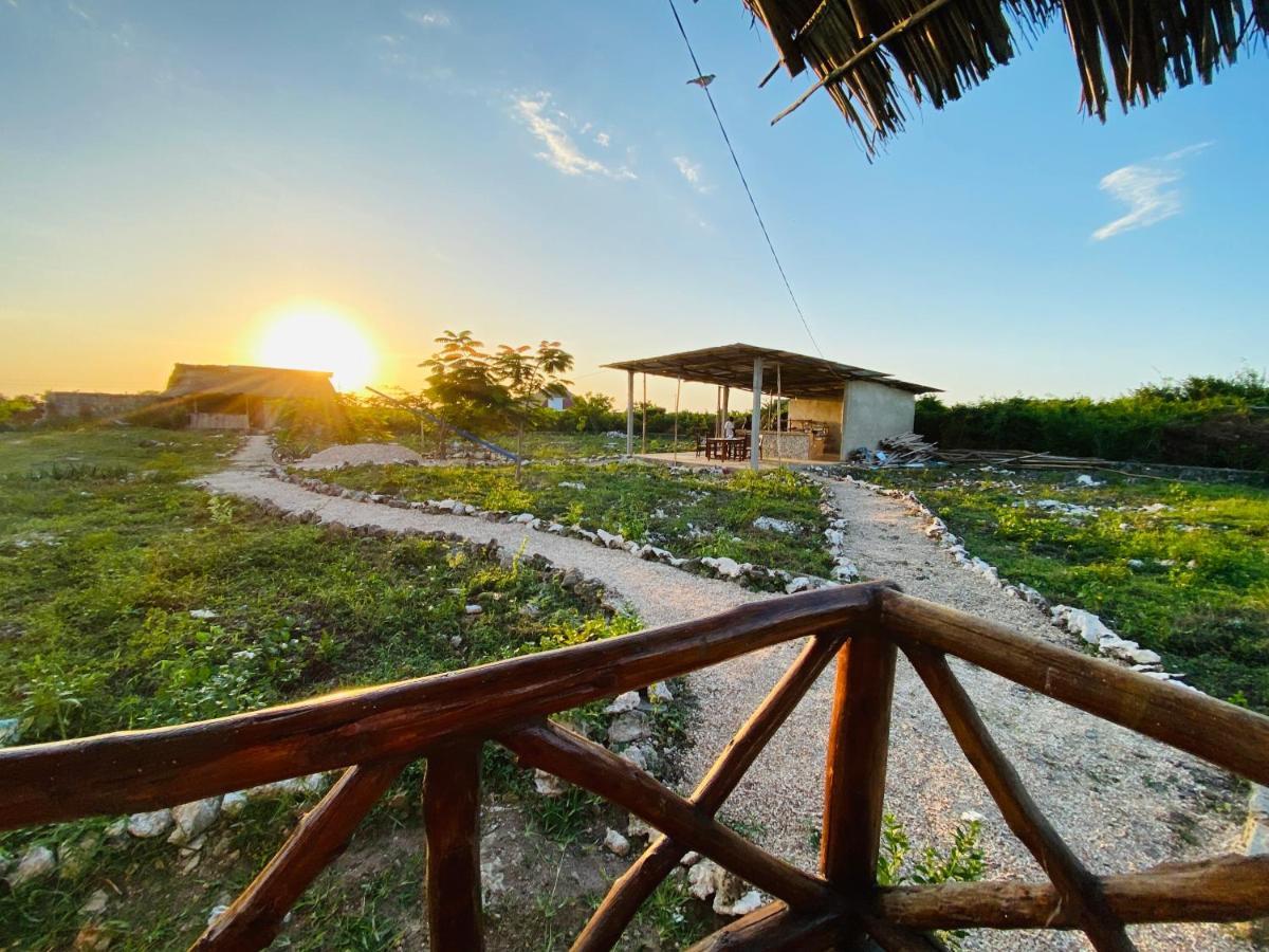 Habibis Bottle House Bed & Breakfast 2*