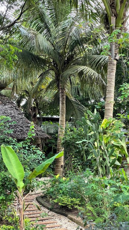 Atii Garden Nungwi