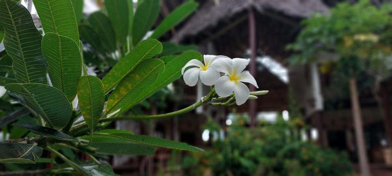 Resort Kena Matemwe (Zanzibar)