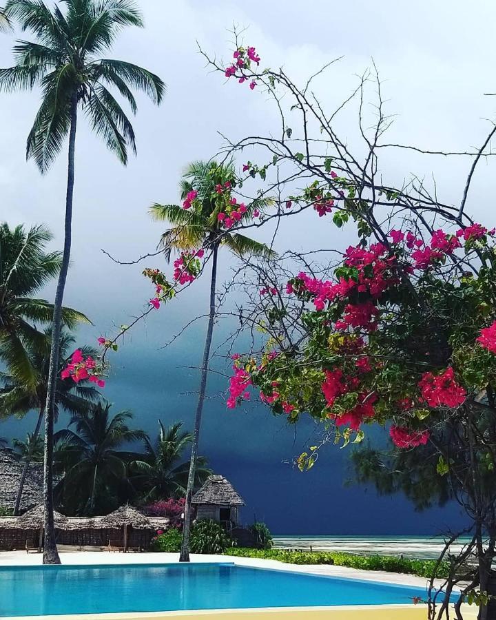 Resort Belvedere Jambiani (Zanzibar)