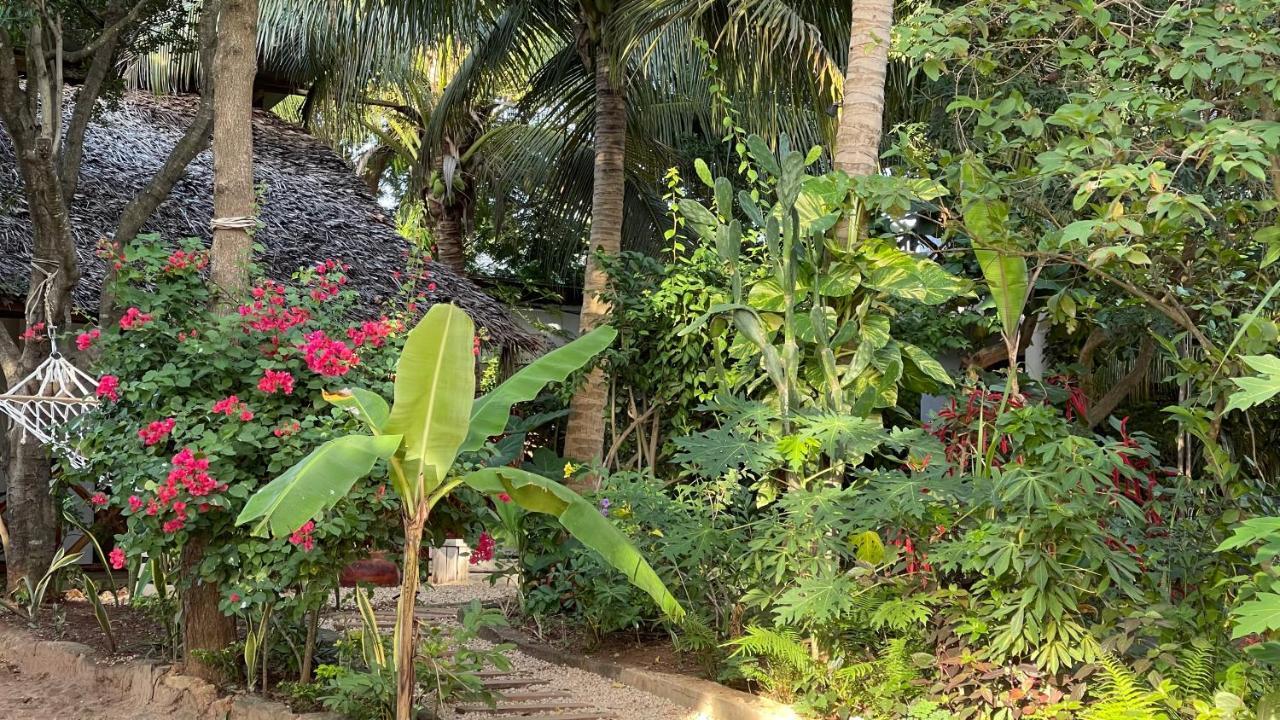 Atii Garden 2* Nungwi