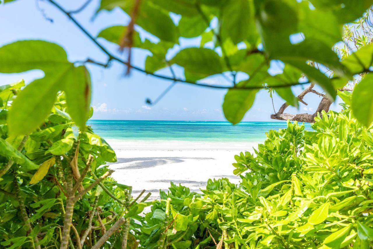 Surfescape Zanzibar Appartement