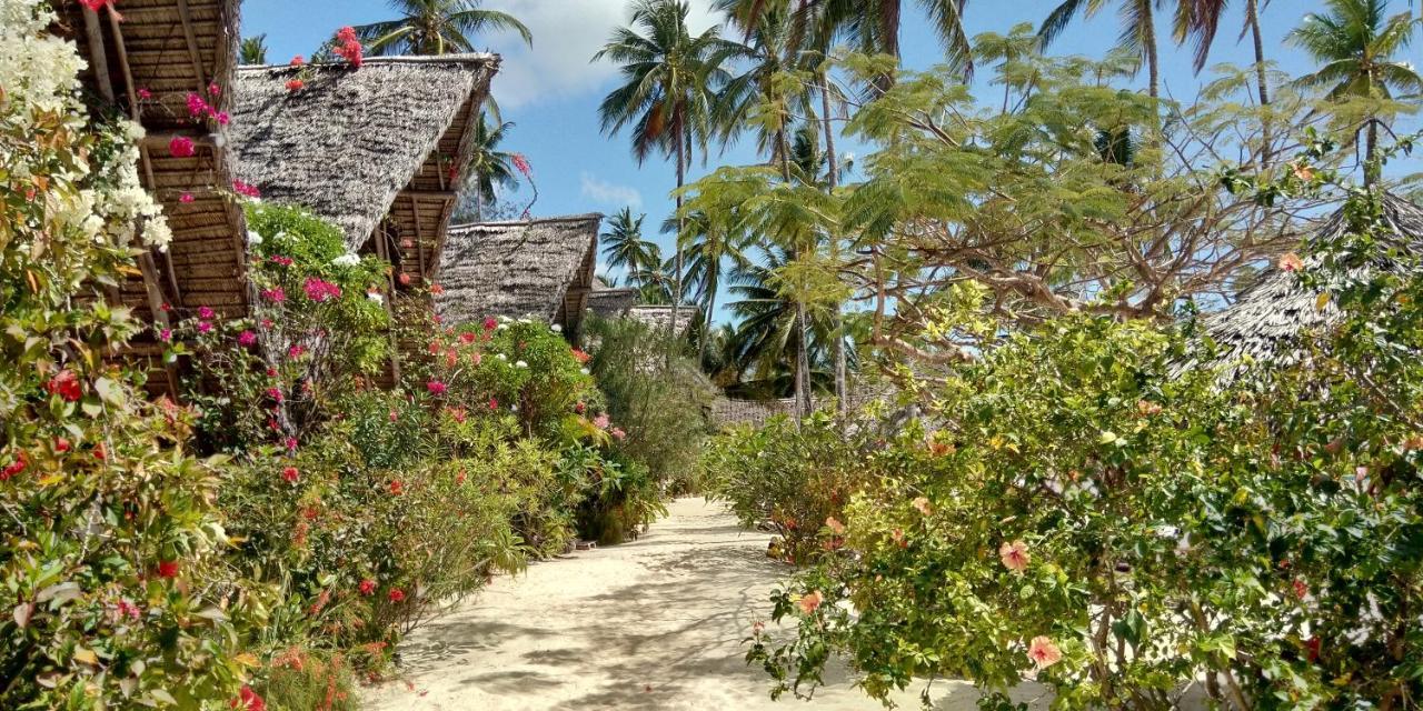 Resort Belvedere Jambiani (Zanzibar)