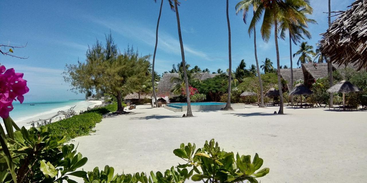 Belvedere Resort Jambiani (Zanzibar)