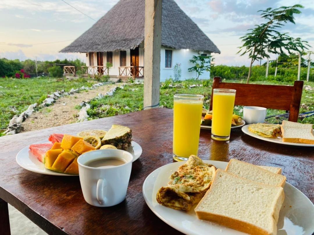 Bed & Breakfast Habibis Bottle House 2*