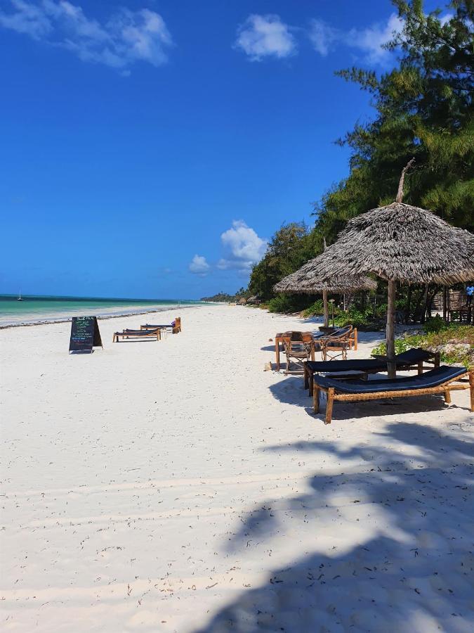 Bed & Breakfast Blue Palm Zanzibar Bwejuu