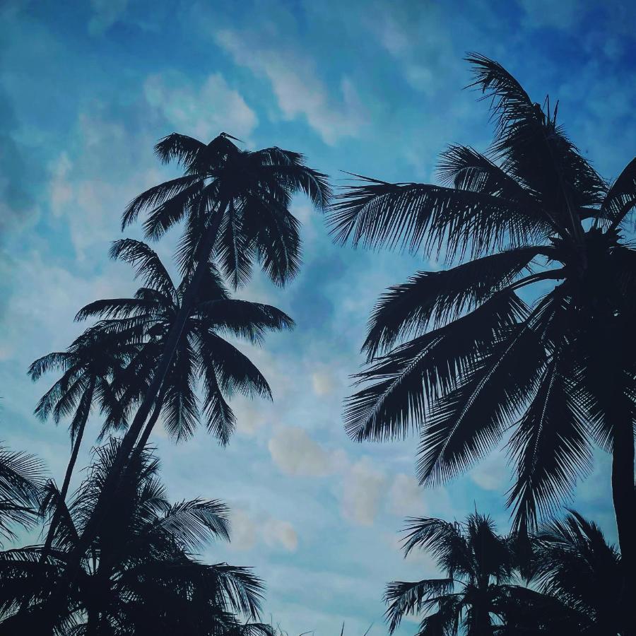 Resort Palumboreef