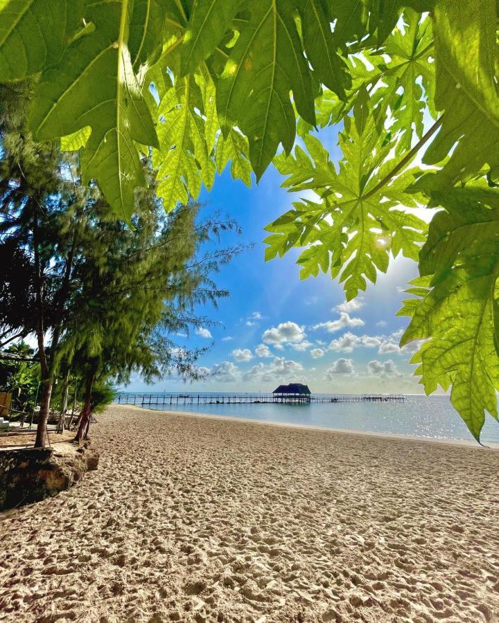 Five Palms Hotel 4*