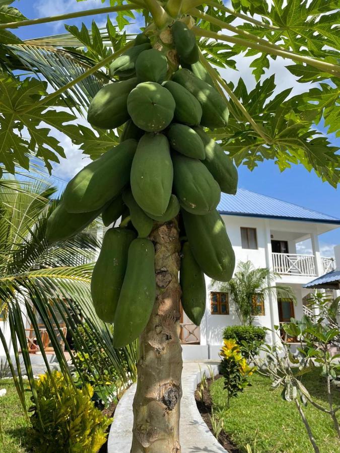 Five Palms Hotel Marumbi