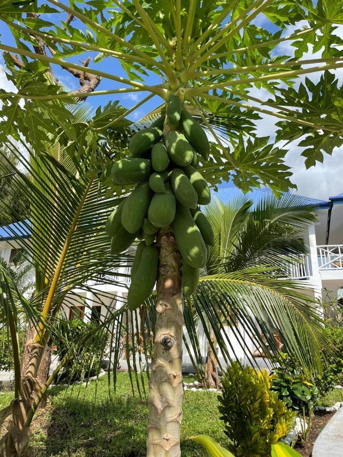 Hotel Five Palms Marumbi