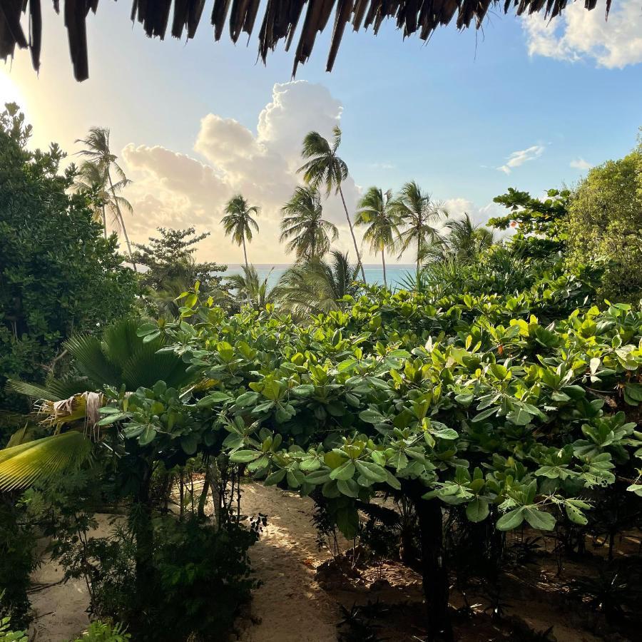 Bellevue Zanzibar Bed & Breakfast 3*