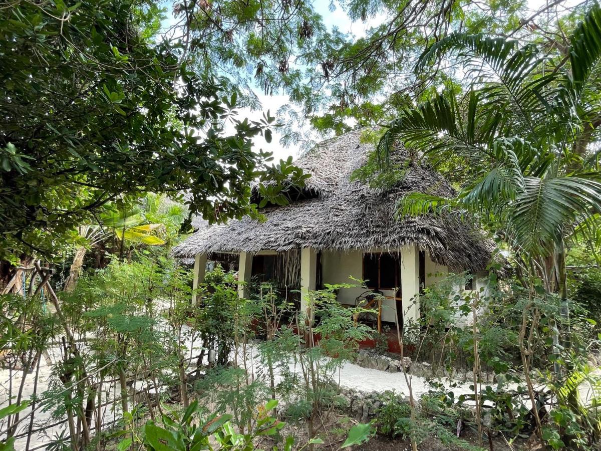 Bed & Breakfast Bellevue Zanzibar