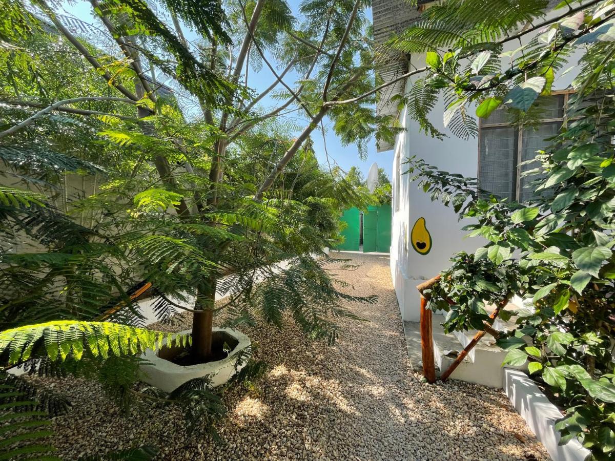 Bed & Breakfast Savi House