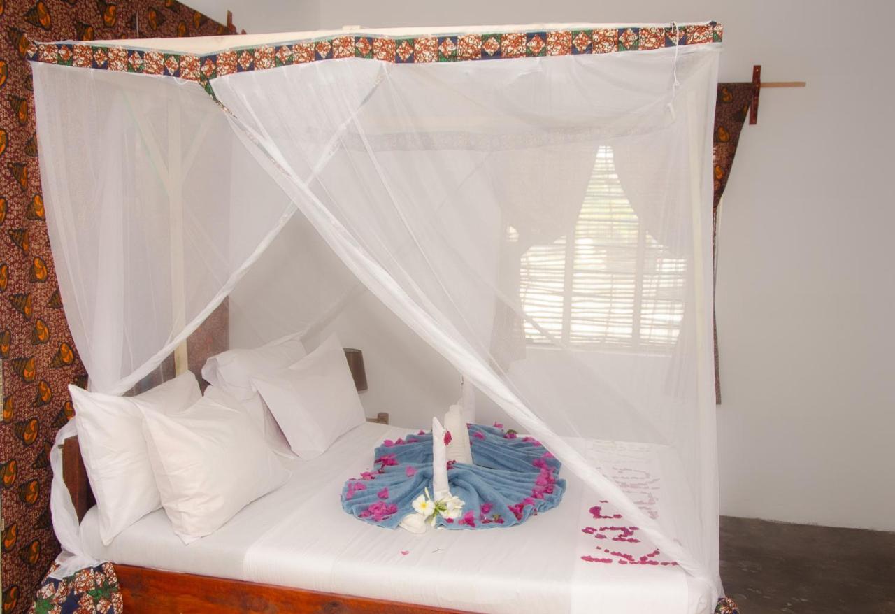 Kasuku * Jambiani (Zanzibar)