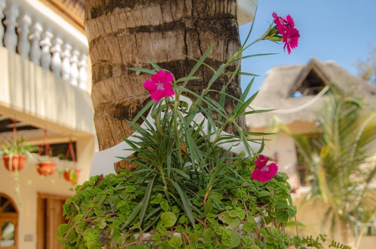 Hotel Zanpalm Boutique Michamvi Kae