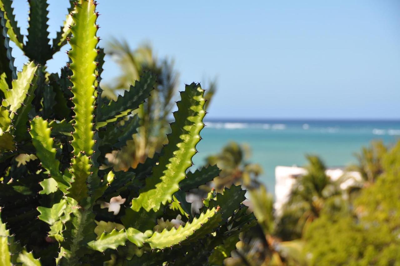 Zan View Hotel Kiwengwa (Zanzibar)