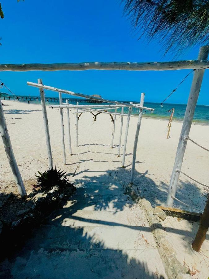 Five Palms