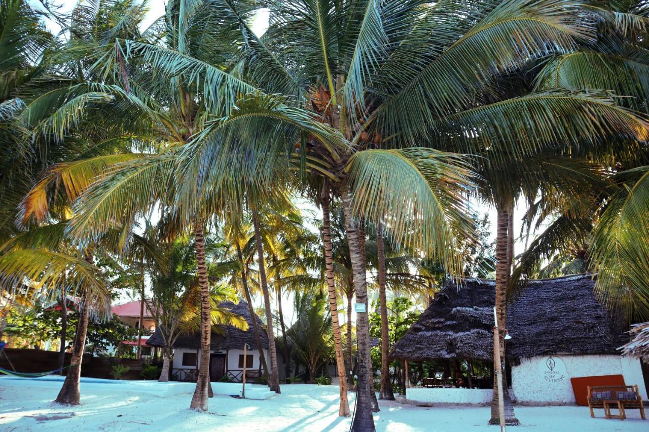 Zanzibar Gem *