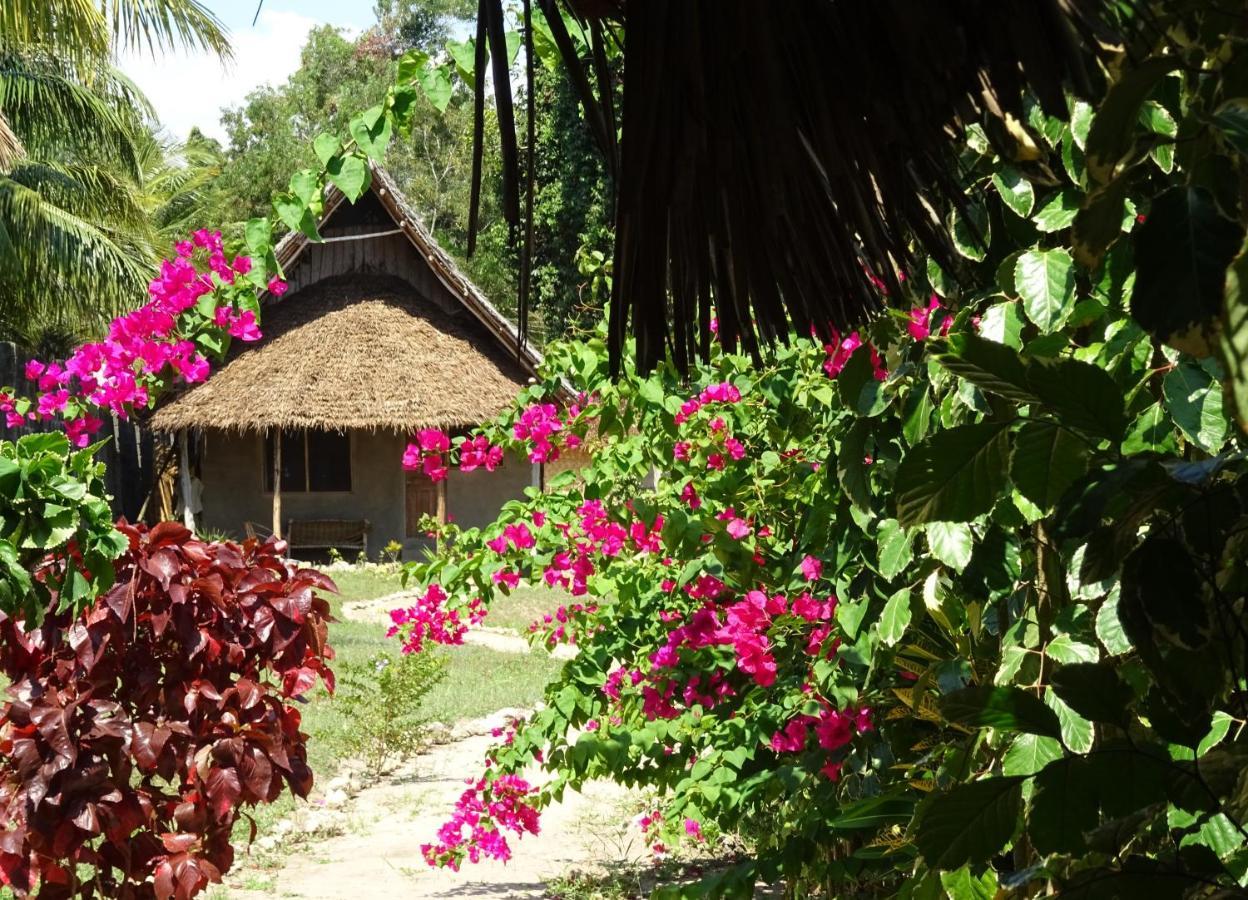 Jabar Bed & Breakfast Zanzibar