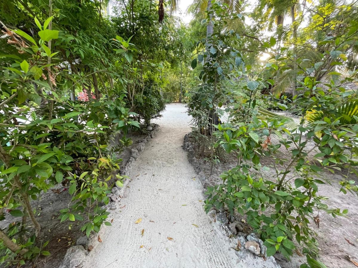 Your Zanzibar Place Hostel