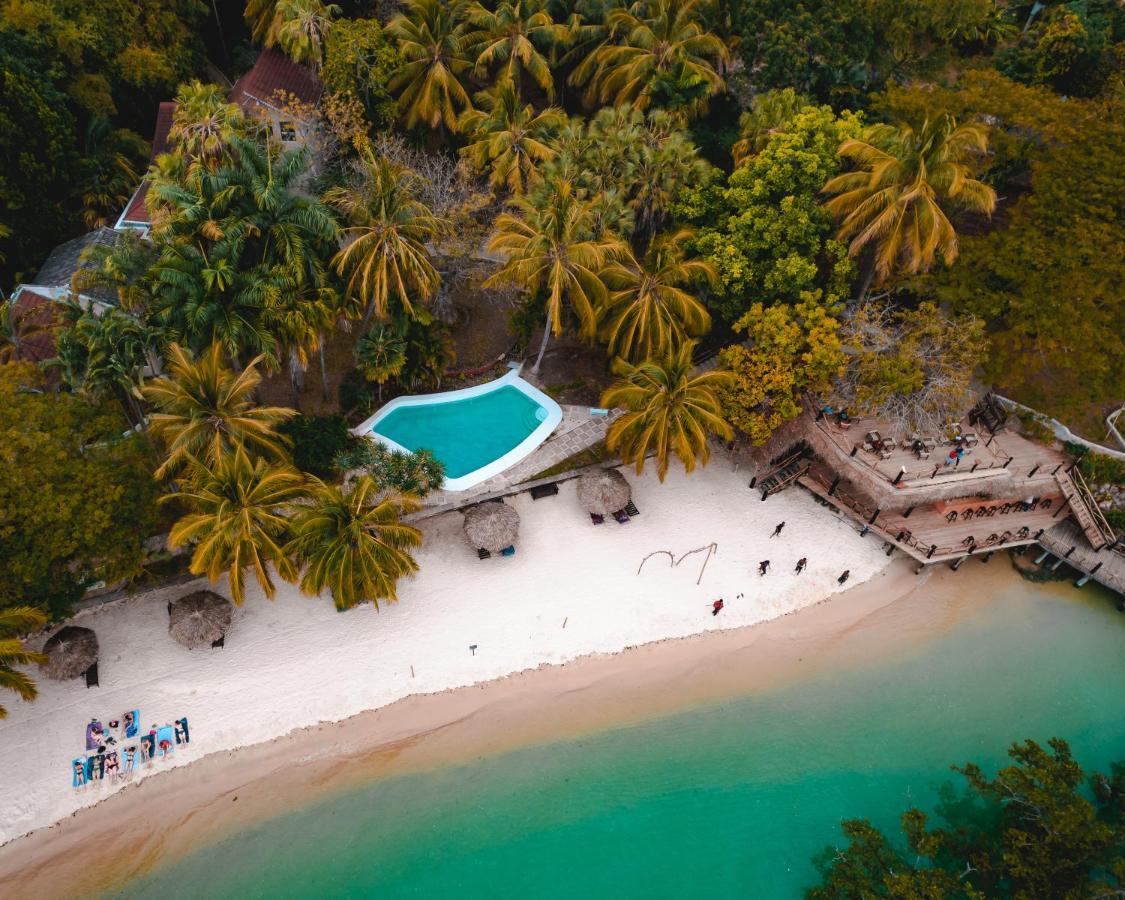 Hotel Mbweni Ruins & Gardens Previously Jungle Paradise 4*